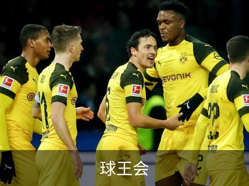 球王会·(体育)官方网站